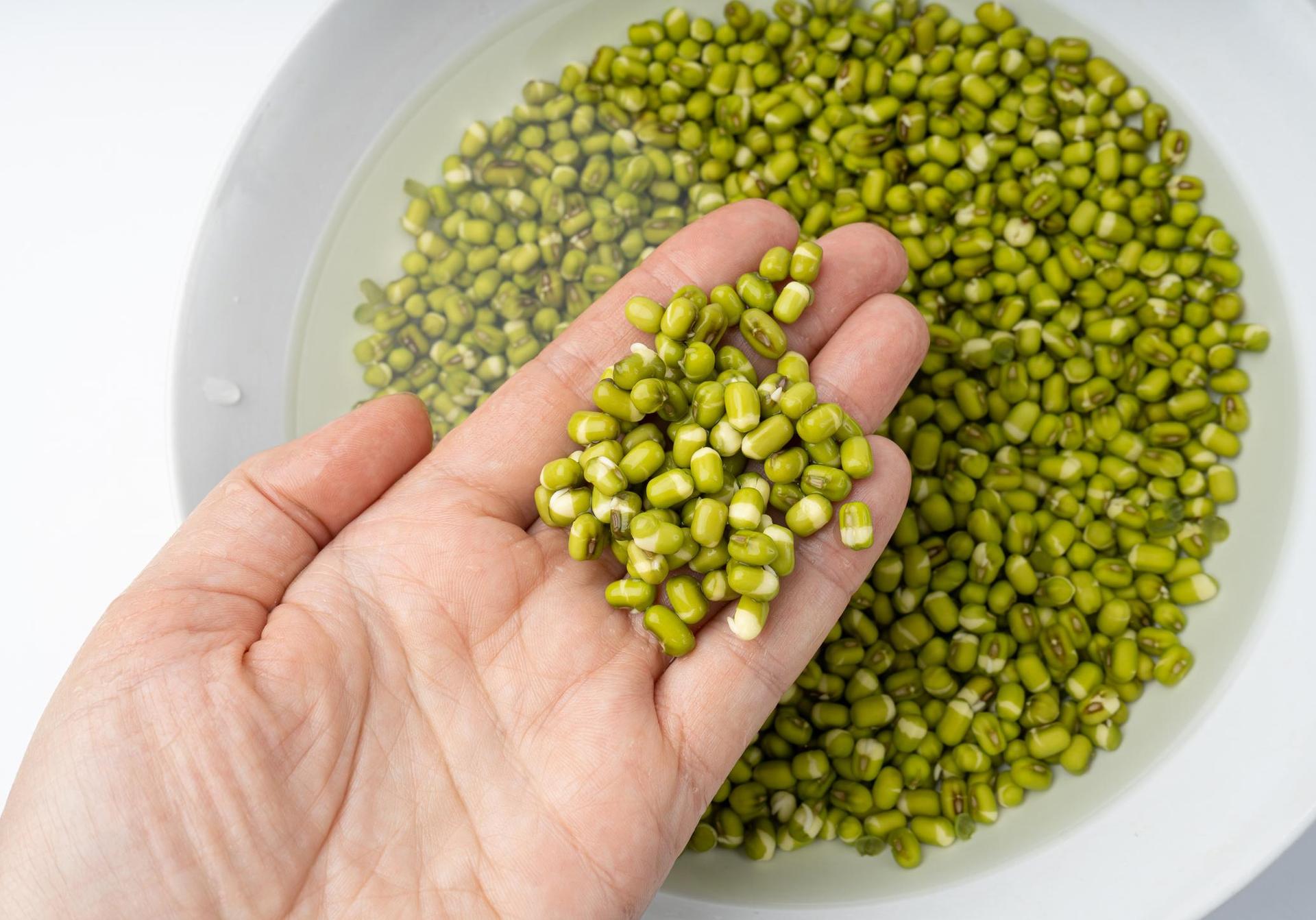 Mungo Premium kalibrisan — 1 kg
